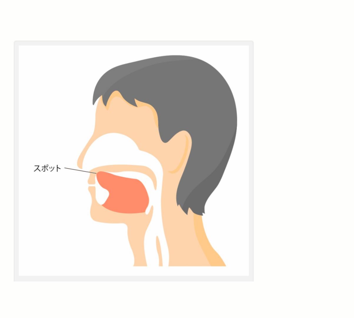 舌の正しい位置